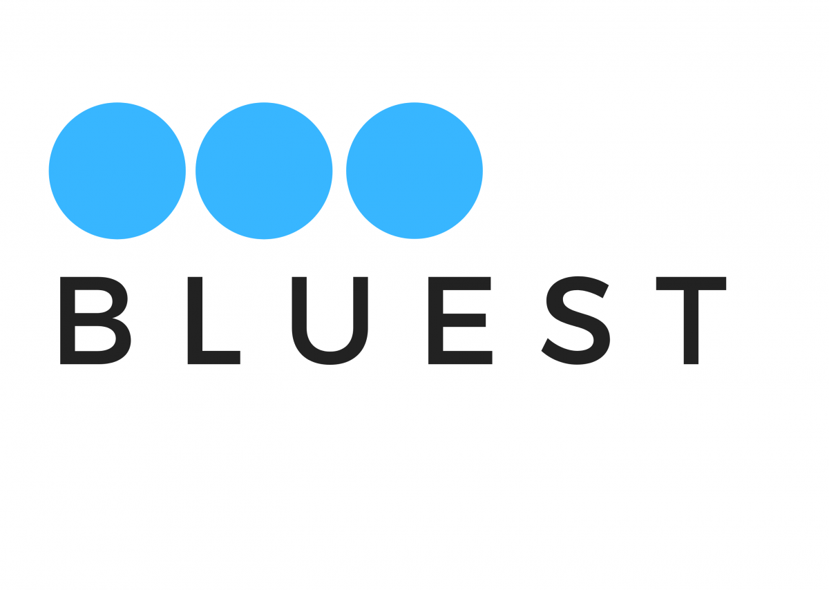 Bluest Business Solutions